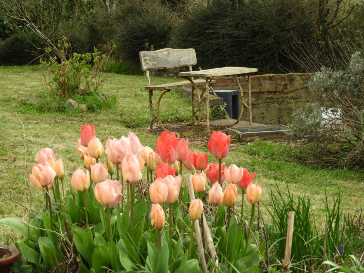 Au Domaine De Sophie Chambres D'Hotes Crasville  Eksteriør billede